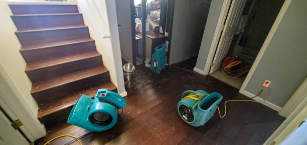 Best Water damage restoration near me  in Mount Jackson, VA
