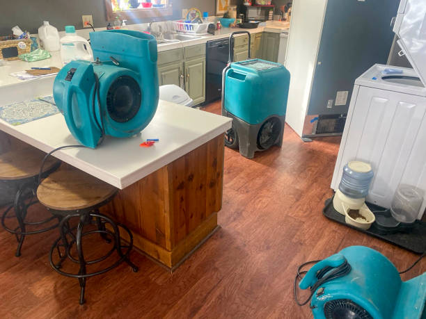 Best Emergency water damage restoration  in Mount Jackson, VA