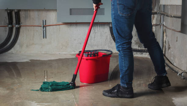Best Emergency water damage restoration  in Mount Jackson, VA