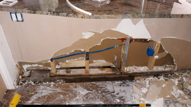 Best Sewage cleanup and water damage restoration  in Mount Jackson, VA