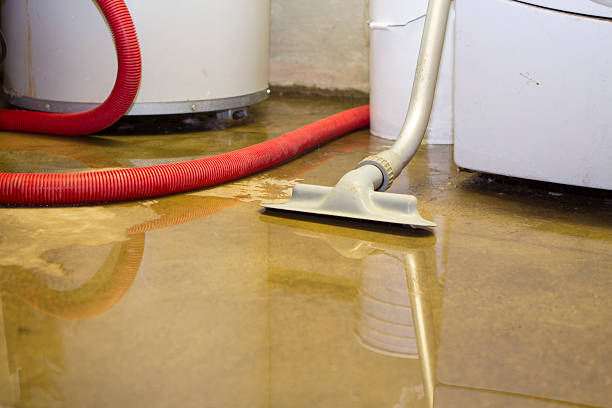 Best Water damage restoration near me  in Mount Jackson, VA