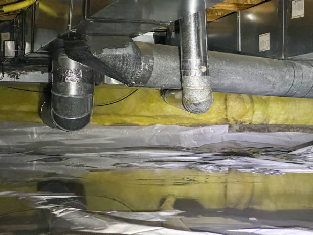 Best Water damage contractors near me  in Mount Jackson, VA