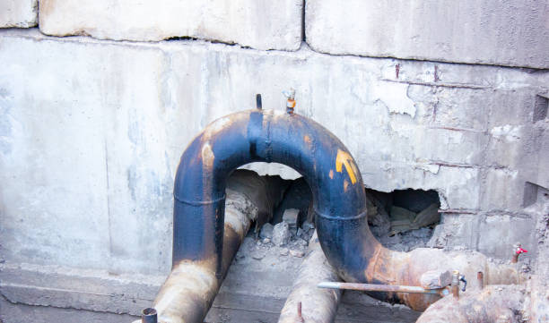 Best Flooded house restoration  in Mount Jackson, VA