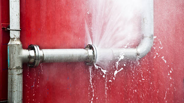 Best Commercial water damage restoration  in Mount Jackson, VA
